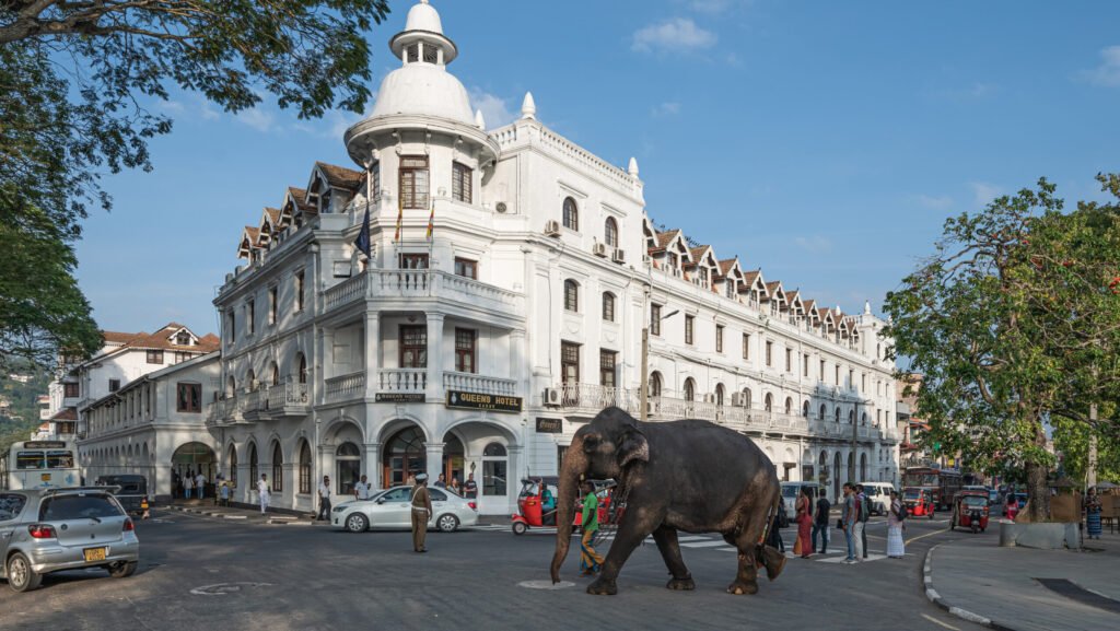 Kandy Short Journeys