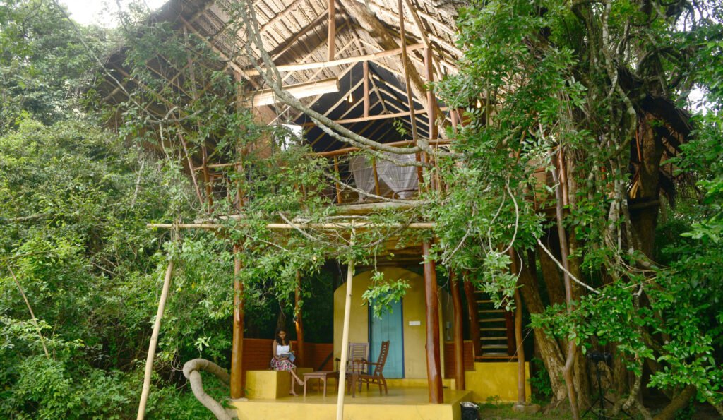 Tree house