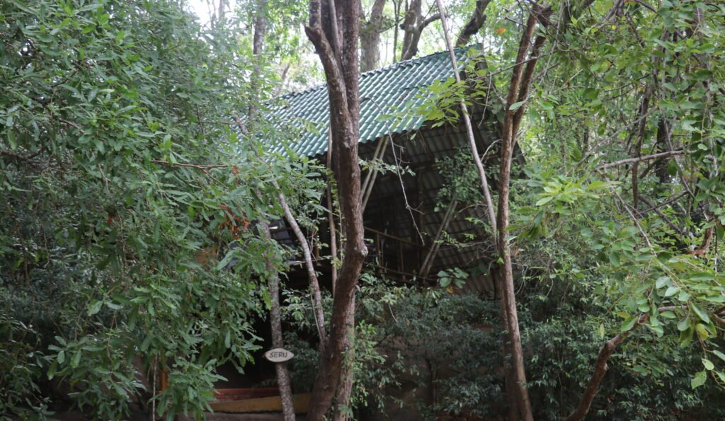 Tree house